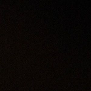 Meet your Posher, Lily